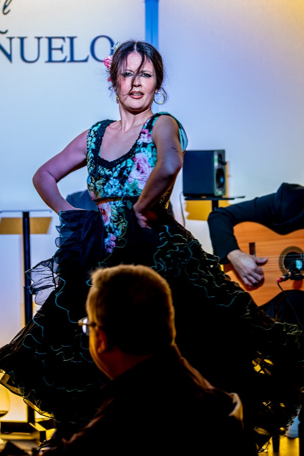 Tablao Flamenco El Pañuelo